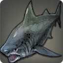 Megalodon - Fish - Items