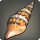 Miter Shell - Fish - Items