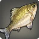 Moat Carp - Fish - Items