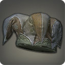 Moldering Jester's Cap - Head - Items