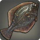 Moraby Flounder - Fish - Items