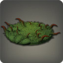 Morbol Rug - New Items in Patch 2.1 - Items