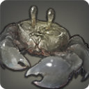 Mudcrab - Fish - Items