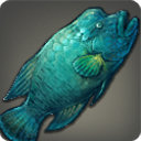 Mummer Wrasse - Fish - Items