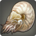 Nautilus - Fish - Items