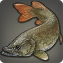 Northern Pike - Fish - Items