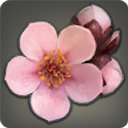 Peach Blossoms - Earrings Level 1-50 - Items