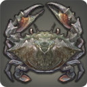 Pebble Crab - Fish - Items