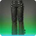 Picaroon's Trousers of Scouting - New Items in Patch 2.5 - Items
