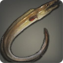 Pike Eel - Fish - Items