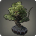 Pine Bonsai - New Items in Patch 2.5 - Items