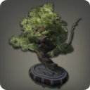 Pine Bonsai - Decorations - Items