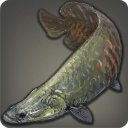 Pirarucu - Fish - Items