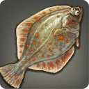 Plaice - Fish - Items