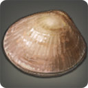 Pond Mussel - Fish - Items
