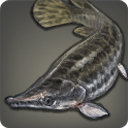 Poxpike - Fish - Items