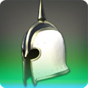 Protector's Barbut - Head - Items