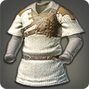 Ranger's Tunic - Body Armor Level 1-50 - Items