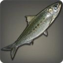 Saber Sardine - Fish - Items