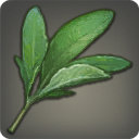 Sagolii Sage - Ingredients - Items