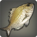 Sand Bream - Fish - Items