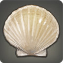 Scallop Shell - Fish - Items