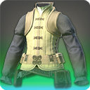Serpent Private's Doublet - Body Armor Level 1-50 - Items