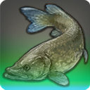 Shadowstreak - Fish - Items