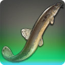 Slime King - Fish - Items