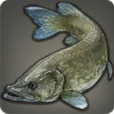 Southern Pike - Fish - Items