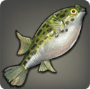 Spotted Puffer - Fish - Items