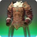 Storm Private's Jacket - Body Armor Level 1-50 - Items