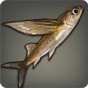 Storm Rider - Fish - Items