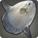 Sunfish - Fish - Items