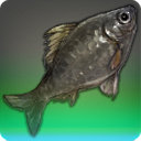 Sylphsbane - Fish - Items