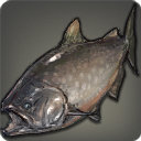 Takitaro - Fish - Items