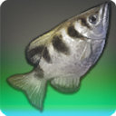 The Drowned Sniper - Fish - Items