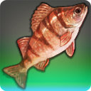 The Gobfather - Fish - Items