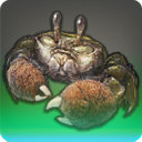 The Terpsichorean - Fish - Items