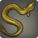 Trader Eel - Fish - Items