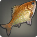 Velodyna Carp - Fish - Items