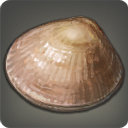 Vongola Clam - Fish - Items