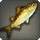 Corn Dace - Fish - Items