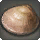 Devotion Clam - Fish - Items