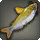 Driftwood Catfish - Fish - Items