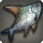 Dumplingfish - Fish - Items