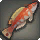 Iris Wrasse - Fish - Items