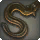 Lightning Eel - Fish - Items