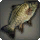 Mirror Carp - Fish - Items