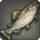 Morsel Trout - Fish - Items
